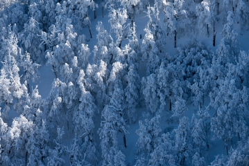 Cerro Lolog, San Martín de los Andes, Neuquén, Argentina