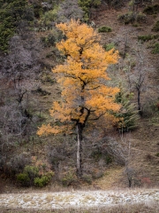 San Martín de los Andes, Neuquén, Argentina