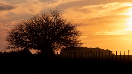 Atardecer, La Pampa, Argentina