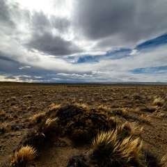 Estepa patagónica, Santa Cruz, Argentina