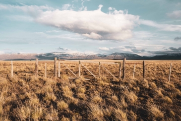 Campos Patagónicos, El Calafate, Santa Cruz, Argentina