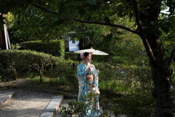 Geisha, Japón